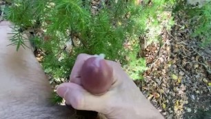 Masturbation in Nature