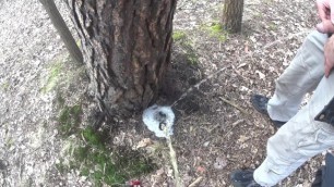 Two Friends Pissing together a Big Foamy Puddle behind a Tree