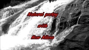 All Natural Poetry in Nature. the Haunted Palace.
