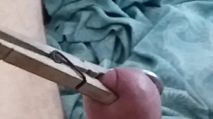 CBT with precum. Clothes pin. Hard.